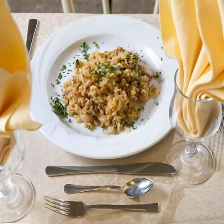 מלון Veliero רימיני